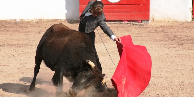 Conozca los toros para la ENCERRONA de Hilda Tenorio (*Fotos*)