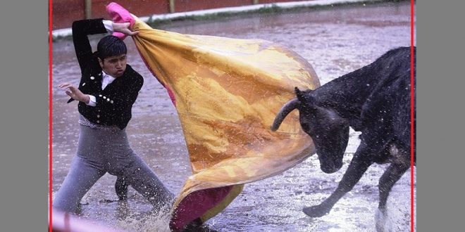 Vacada en Tlaxcala… ¡Olé por los toreros y los aficionados chipén! (*Fotos*)